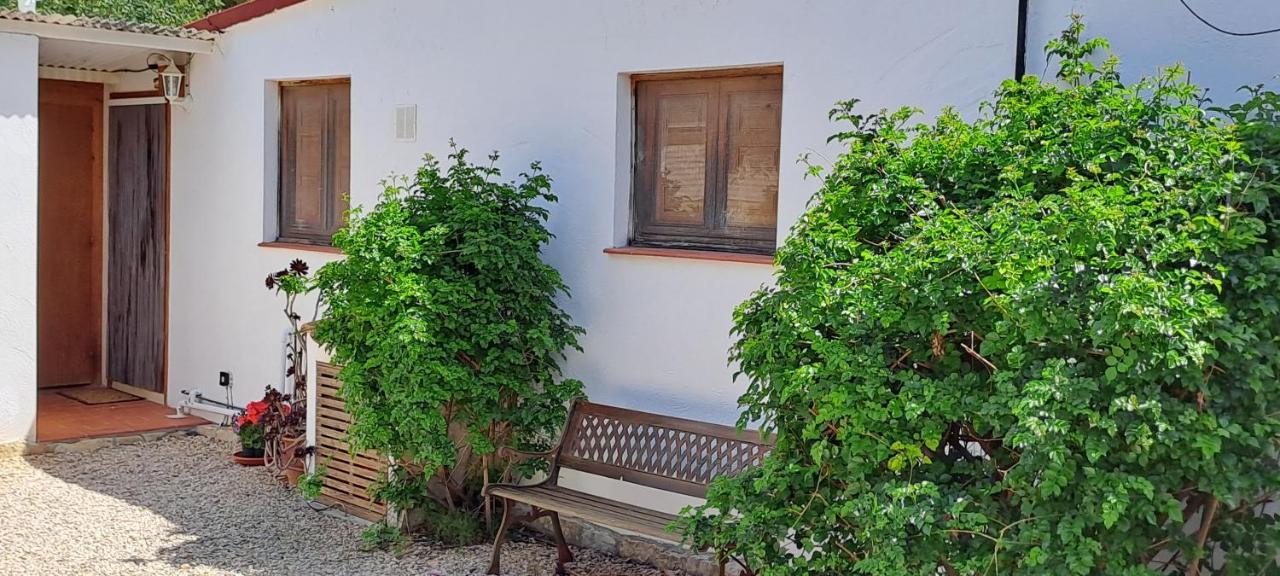 Finca Gamundi L'Ampolla Kültér fotó