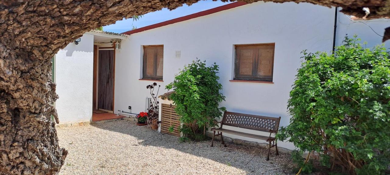 Finca Gamundi L'Ampolla Kültér fotó